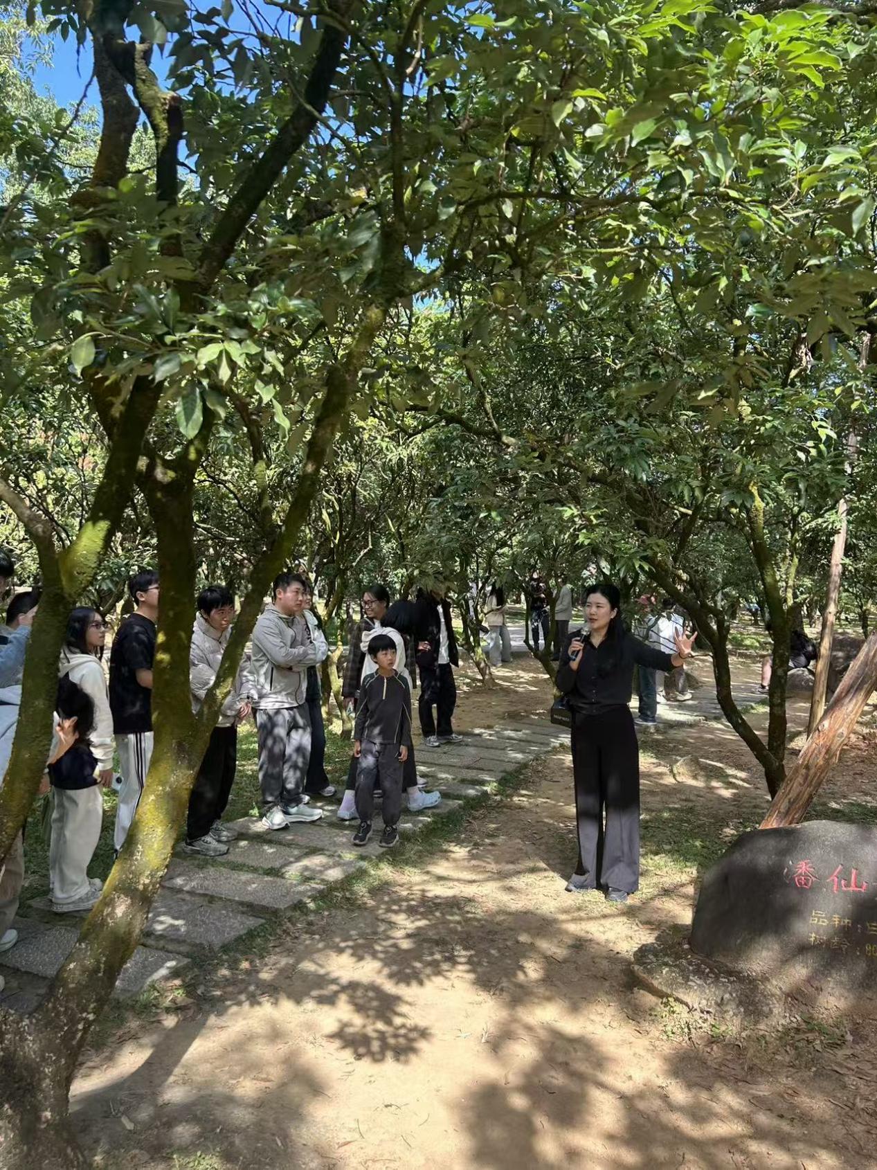 说明: 06e3970a2dfe64eff33144a6bc922234 说明: 06e3970a2dfe64eff33144a6bc922234